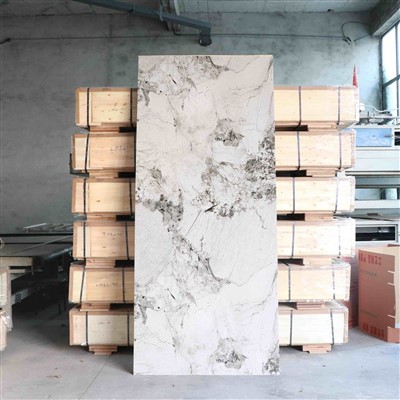 SPC WALL PANEL PVC Sheets Disinn Modern